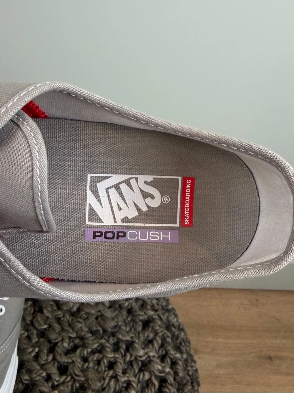 Men’s Vans Skate Authentic low-top sneakers in the 